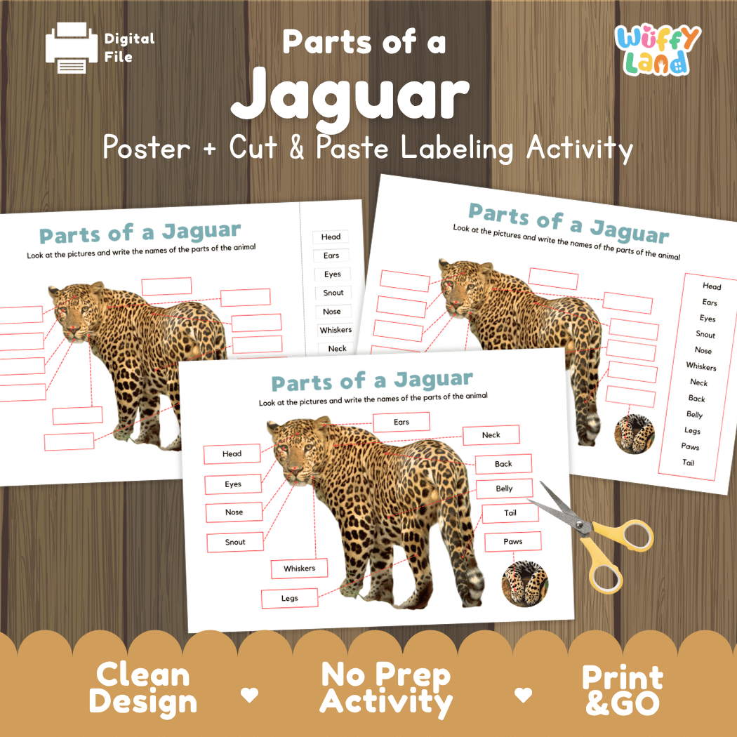 Parts of a Jaguar anatomy poster and cut and paste labeling activity worksheet pack preview for elementary science