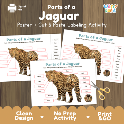 Parts of a Jaguar anatomy poster and cut and paste labeling activity worksheet pack preview for elementary science