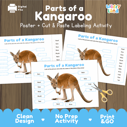 Parts of a Kangaroo poster and cut and paste labeling activity printable pack showing labeled reference chart and differentiated worksheets for elementary science