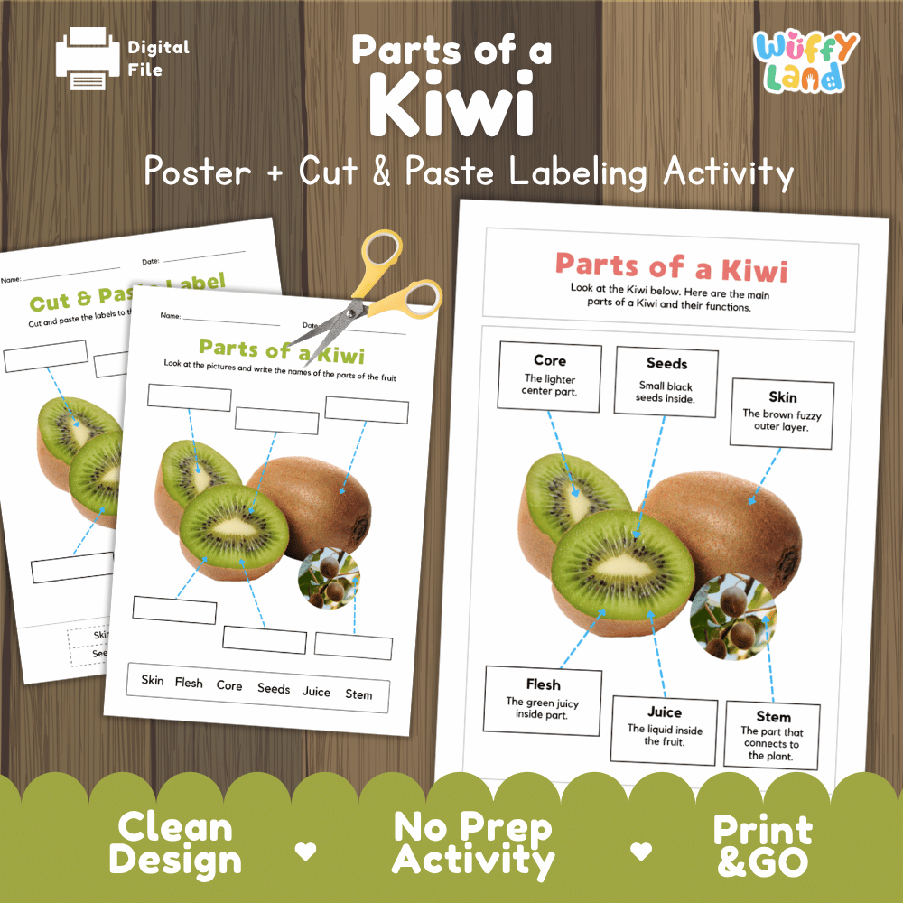 Parts of a Kiwi poster and cut and paste labeling activity printable pack showing labeled reference chart and differentiated worksheets for elementary science