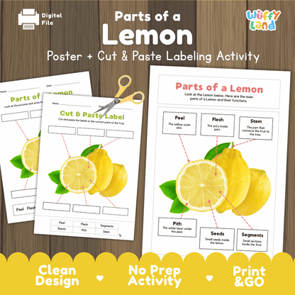 Parts of a Lemon poster and cut and paste labeling activity printable pack showing labeled reference chart and differentiated worksheets for elementary science