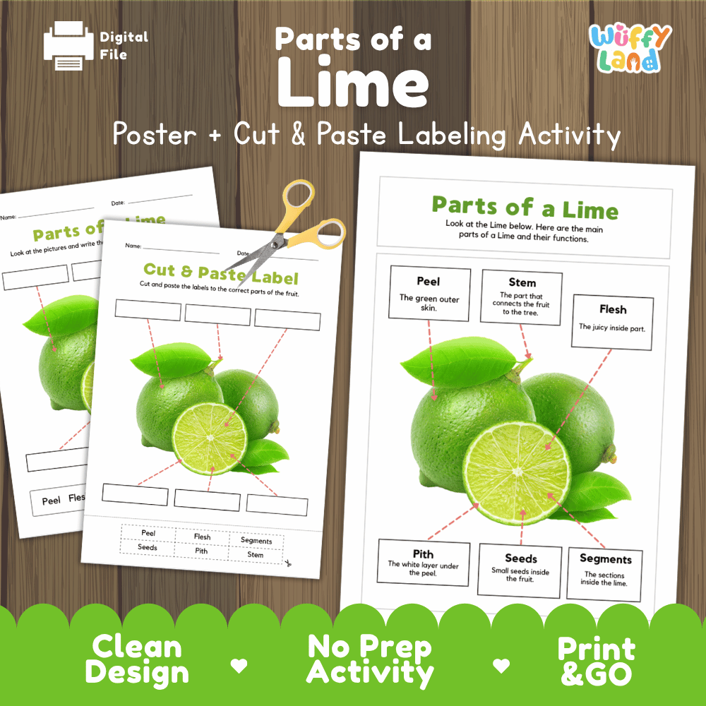 Parts of a Lime poster and cut and paste labeling activity printable pack showing labeled reference chart and differentiated worksheets for elementary science