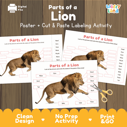 Parts of a Lion anatomy poster and cut and paste labeling activity worksheet pack preview for elementary science