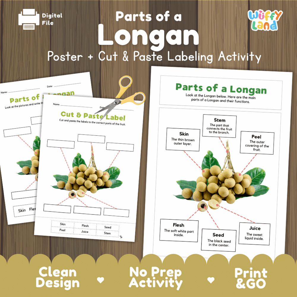 Parts of a Longan poster and cut and paste labeling activity printable pack showing labeled reference chart and differentiated worksheets for elementary science