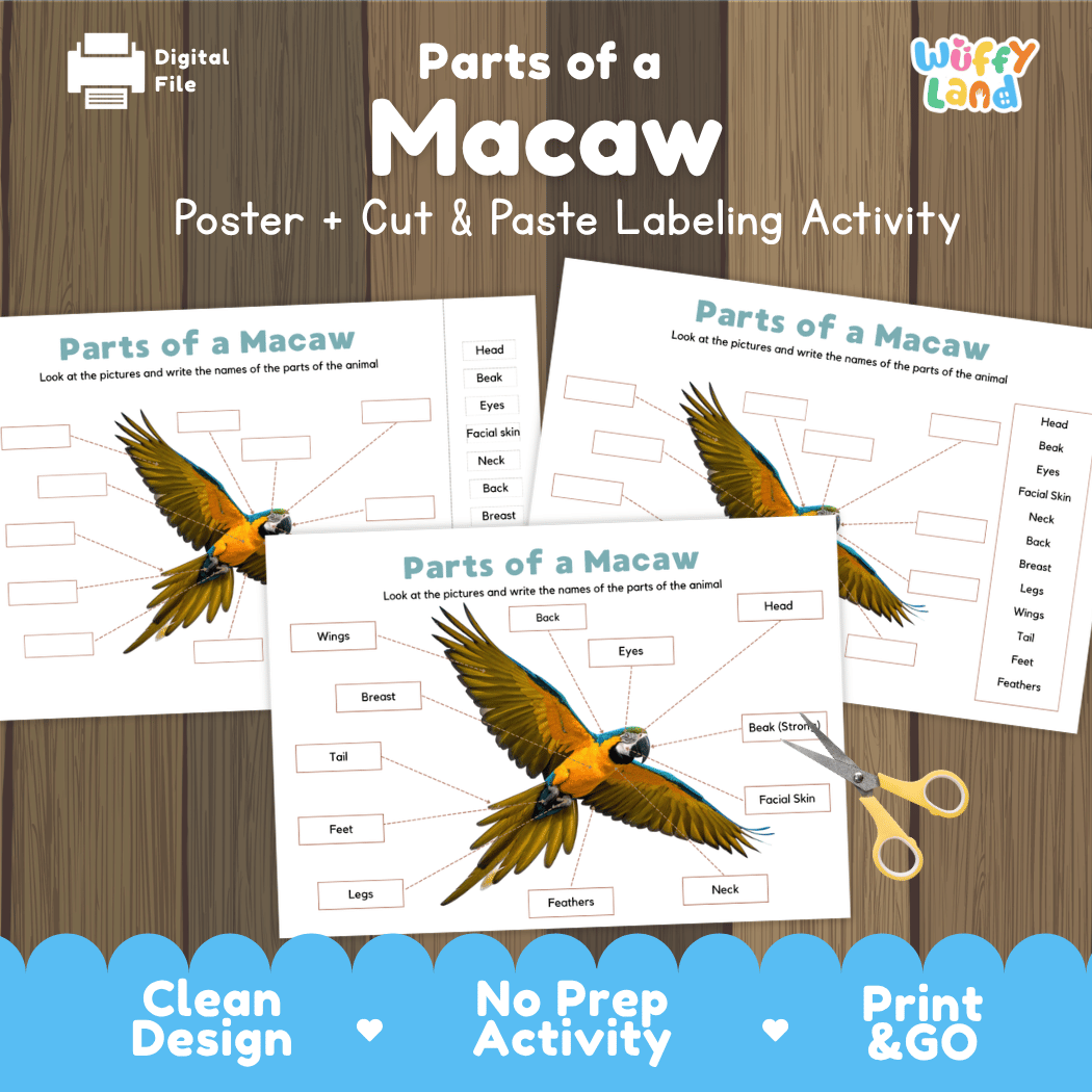 Parts of a Macaw anatomy poster and cut and paste labeling activity worksheet pack preview for elementary science
