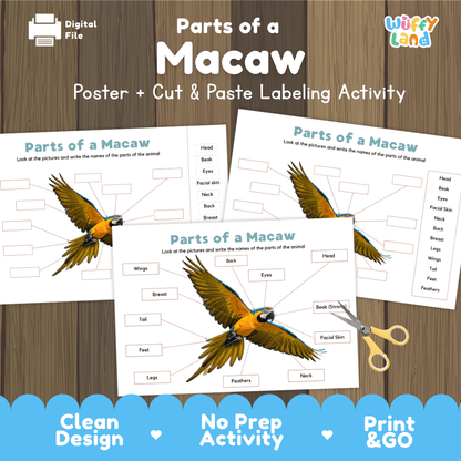 Parts of a Macaw anatomy poster and cut and paste labeling activity worksheet pack preview for elementary science