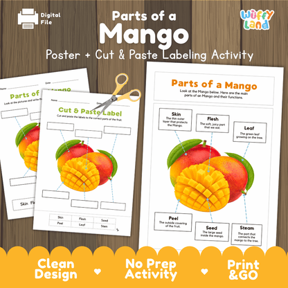 Parts of a Mango poster and cut and paste labeling activity printable pack showing labeled reference chart and differentiated worksheets for elementary science