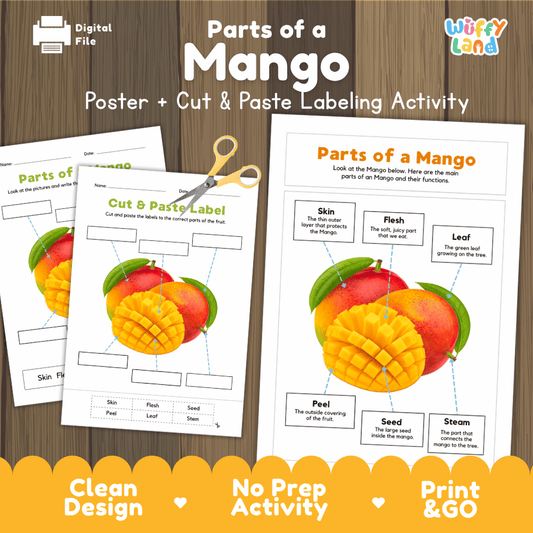 Parts of a Mango poster and cut and paste labeling activity printable pack showing labeled reference chart and differentiated worksheets for elementary science