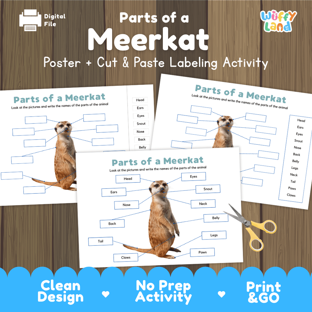 Parts of a Meerkat anatomy poster and cut and paste labeling activity worksheet pack preview for elementary science