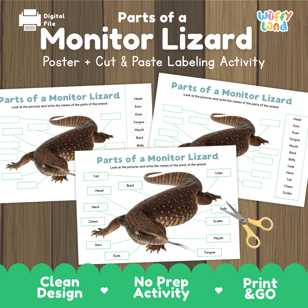 Parts of a Monitor Lizard anatomy poster and cut and paste labeling activity worksheet pack preview for elementary science
