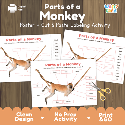 Parts of a Monkey anatomy poster and cut and paste labeling activity worksheet pack preview for elementary science