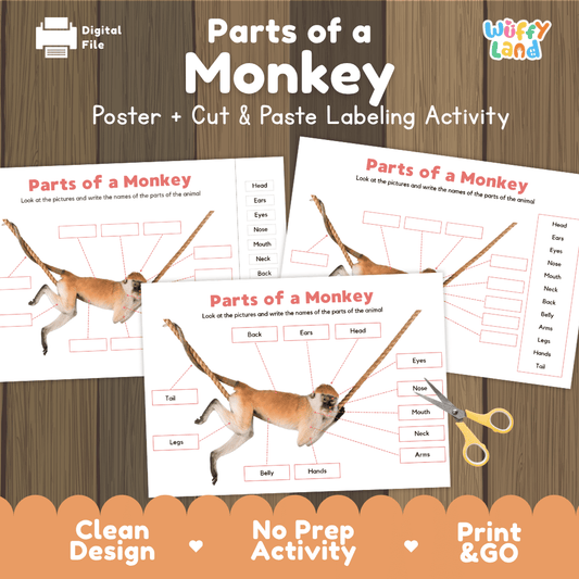 Parts of a Monkey anatomy poster and cut and paste labeling activity worksheet pack preview for elementary science