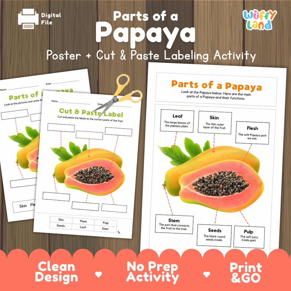 Parts of a Papaya poster and cut and paste labeling activity printable pack showing labeled reference chart and differentiated worksheets for elementary science