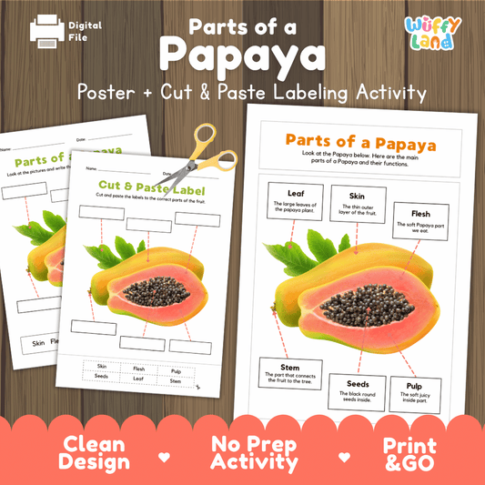 Parts of a Papaya poster and cut and paste labeling activity printable pack showing labeled reference chart and differentiated worksheets for elementary science