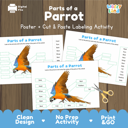 Parts of a Parrot poster and cut and paste labeling activity printable pack showing labeled reference chart and differentiated worksheets for elementary science