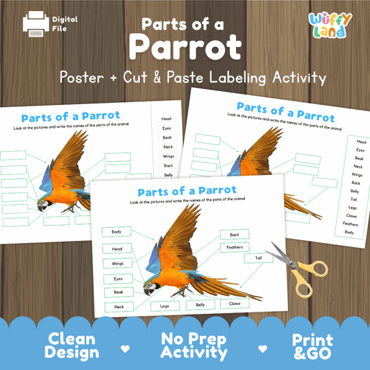 Parts of a Parrot poster and cut and paste labeling activity printable pack showing labeled reference chart and differentiated worksheets for elementary science