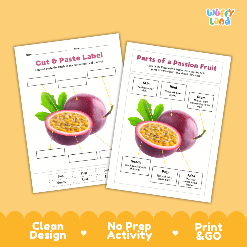 Clean science reference poster displaying a labeled realistic passion fruit showing parts and functions from stem and outer rind to juicy pulp and seeds