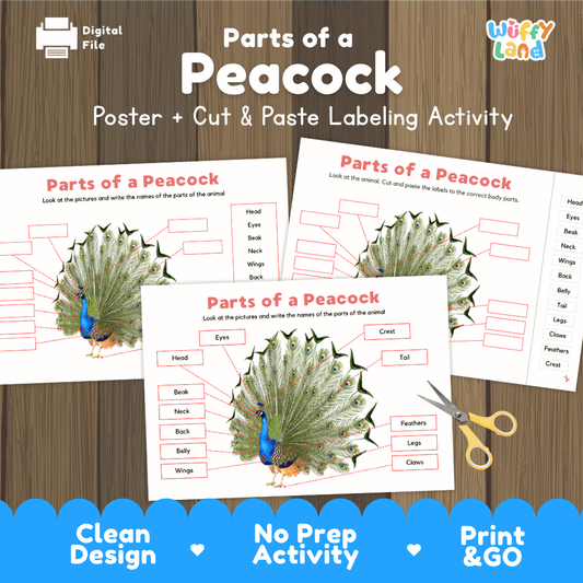 Parts of a Peacock poster and cut and paste labeling activity printable pack showing labeled reference chart and differentiated worksheets for elementary science