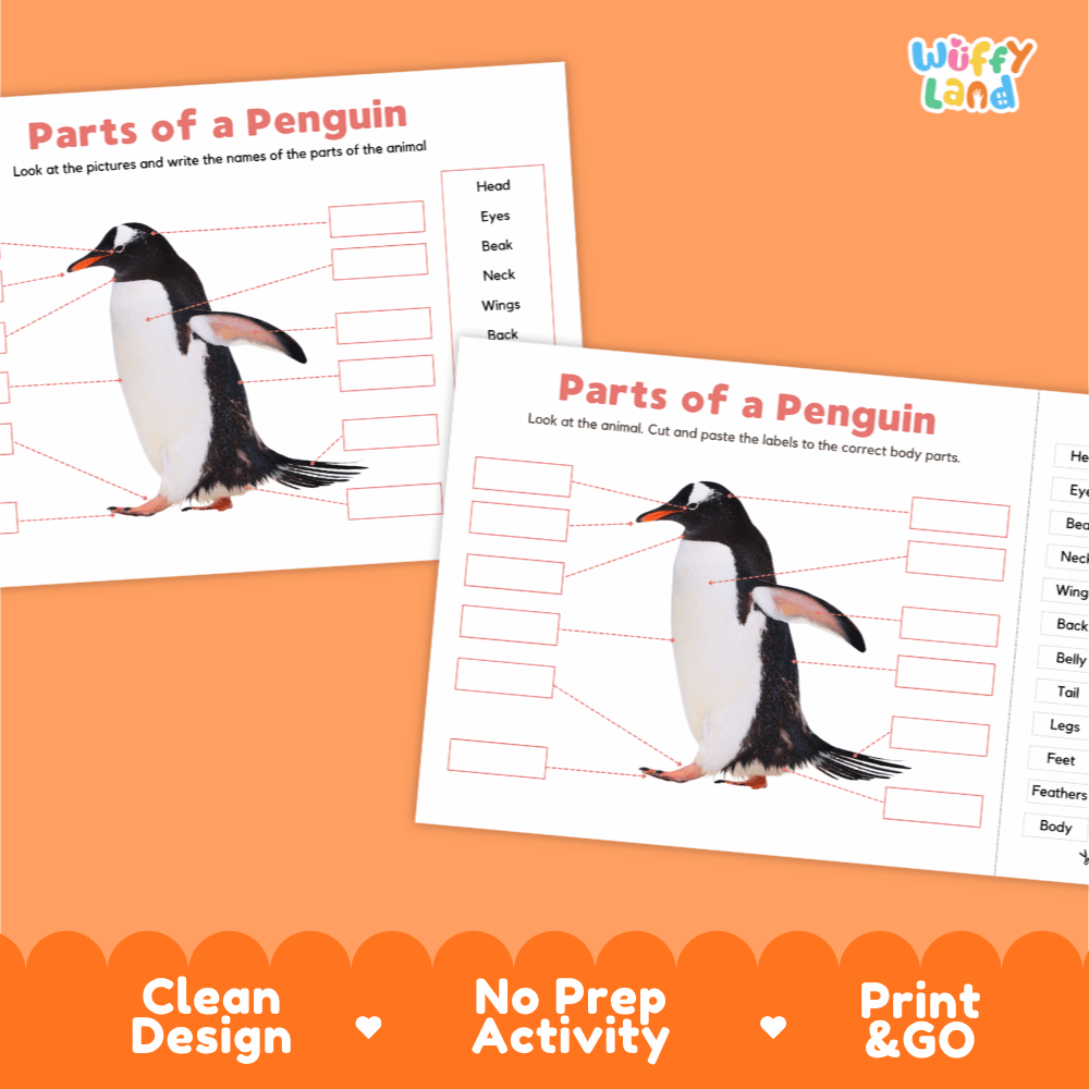 Clean science reference poster displaying a labeled realistic penguin showing external body parts from head to webbed feet