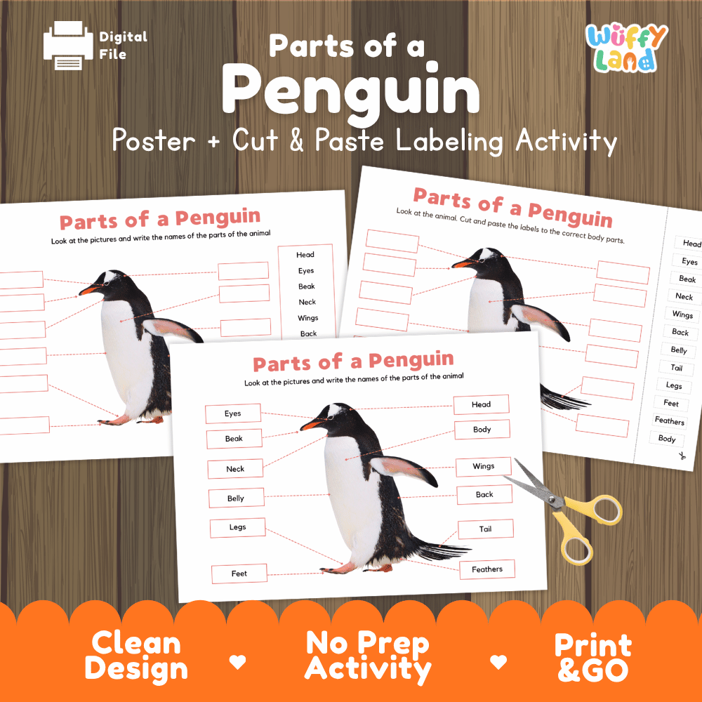 Parts of a Penguin poster and cut and paste labeling activity printable pack showing labeled reference chart and differentiated worksheets for elementary science
