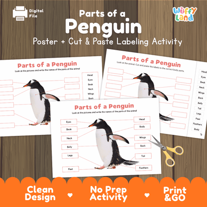 Parts of a Penguin poster and cut and paste labeling activity printable pack showing labeled reference chart and differentiated worksheets for elementary science