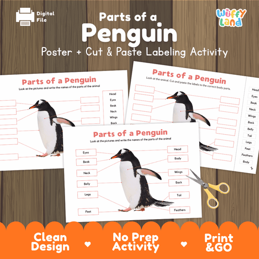 Parts of a Penguin poster and cut and paste labeling activity printable pack showing labeled reference chart and differentiated worksheets for elementary science