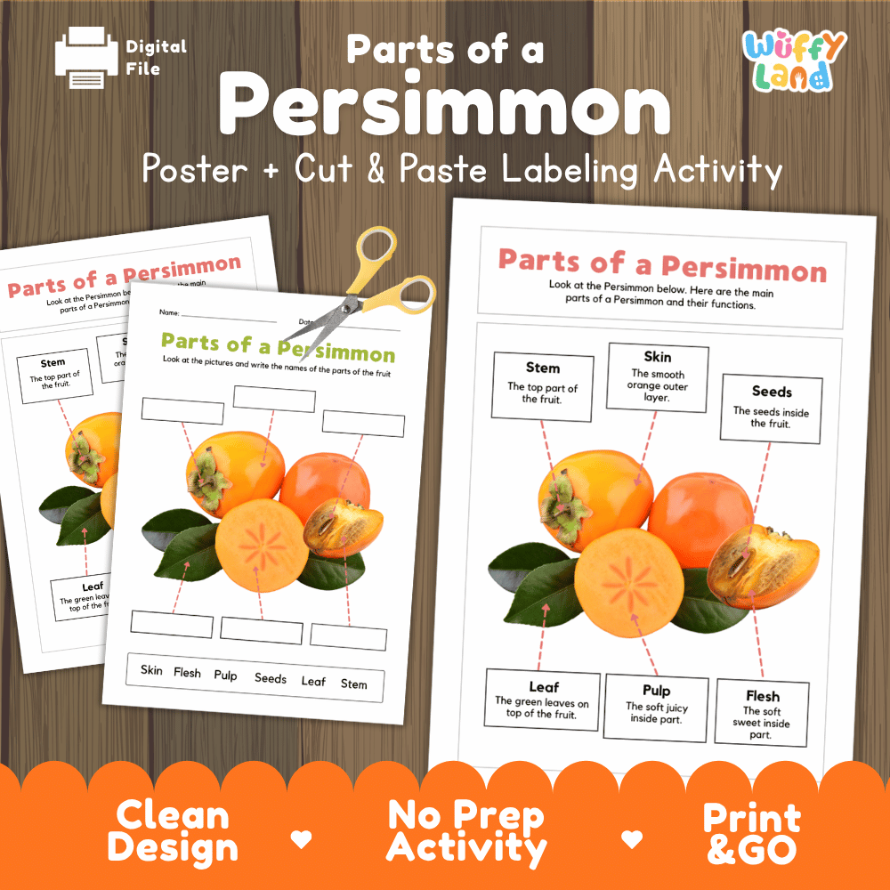 Parts of a Persimmon poster and cut and paste labeling activity printable pack showing labeled reference chart and differentiated worksheets for elementary science