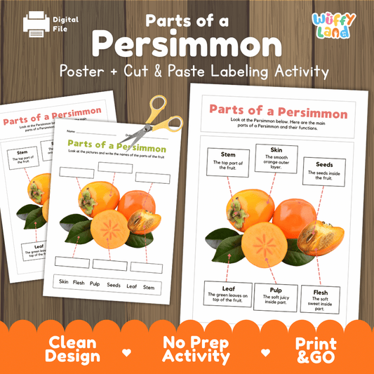 Parts of a Persimmon poster and cut and paste labeling activity printable pack showing labeled reference chart and differentiated worksheets for elementary science