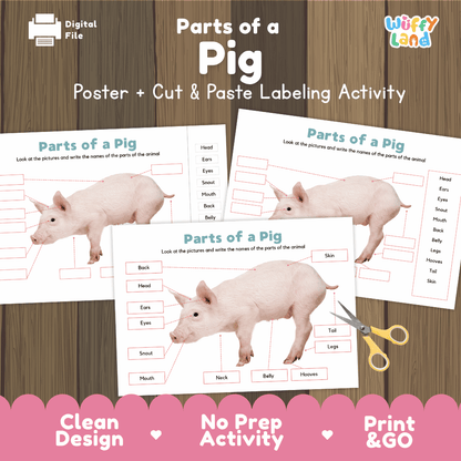 Parts of a Pig anatomy poster and cut and paste labeling activity worksheet pack preview for elementary science
