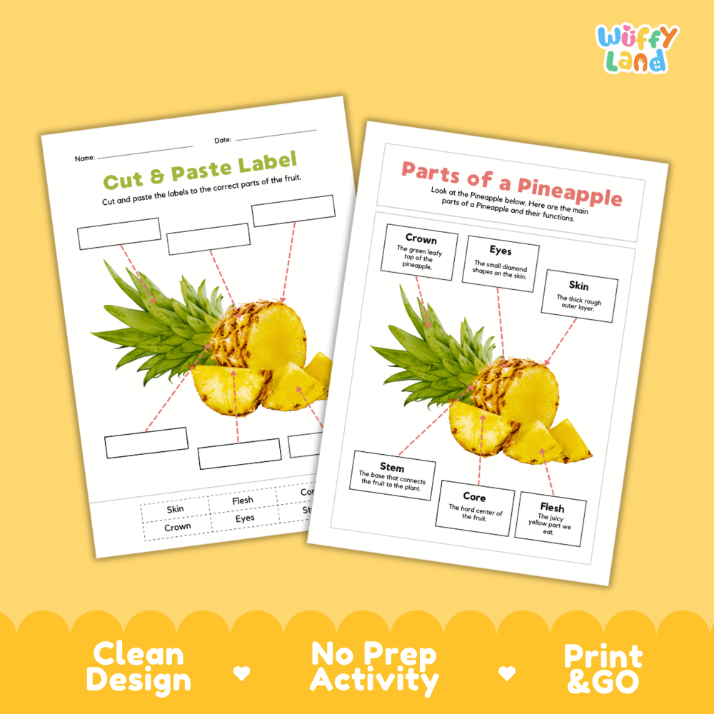 Clean science reference poster displaying a labeled realistic pineapple showing fruit parts and functions from green crown to internal core and juicy flesh