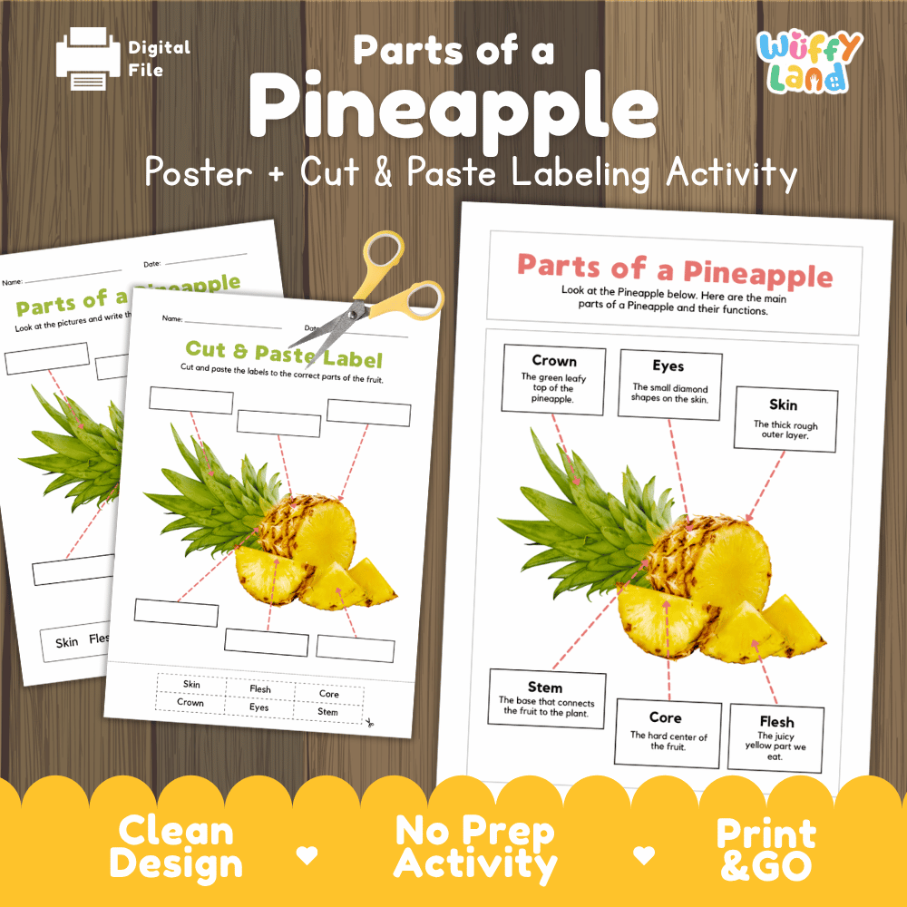 Parts of a Pineapple poster and cut and paste labeling activity printable pack showing labeled reference chart and differentiated worksheets for elementary science