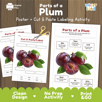 Parts of a Plum poster and cut and paste labeling activity printable pack showing labeled reference chart and differentiated worksheets for elementary science