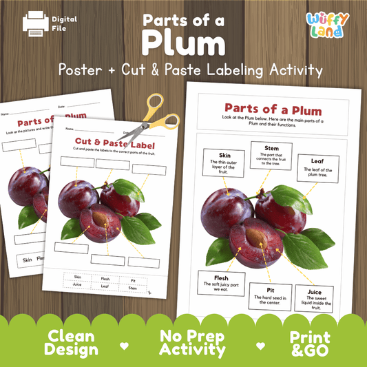 Parts of a Plum poster and cut and paste labeling activity printable pack showing labeled reference chart and differentiated worksheets for elementary science
