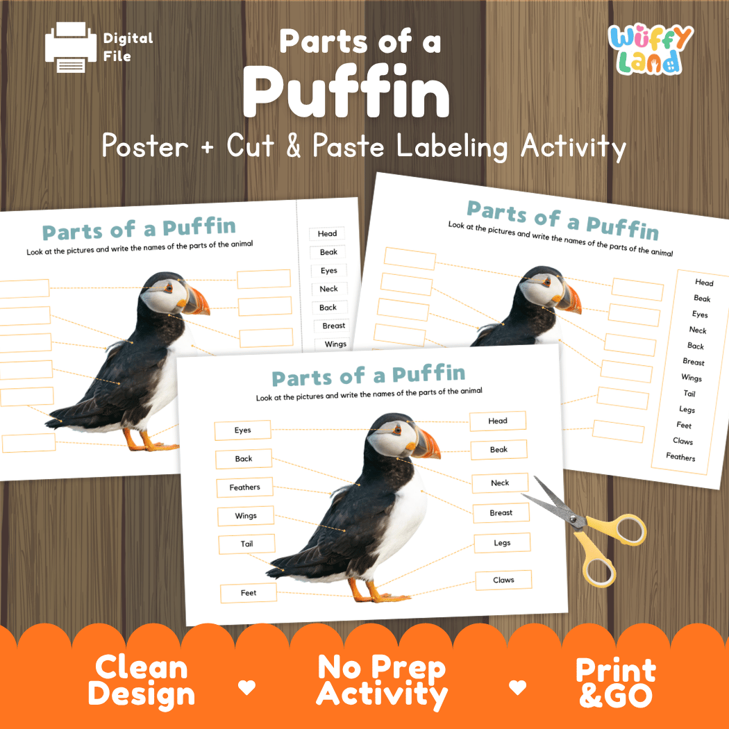Parts of a Puffin anatomy poster and cut and paste labeling activity worksheet pack preview for elementary science