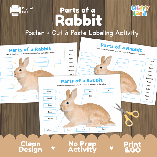 Parts of a Rabbit poster and cut and paste labeling activity printable pack showing labeled reference chart and differentiated worksheets for elementary science