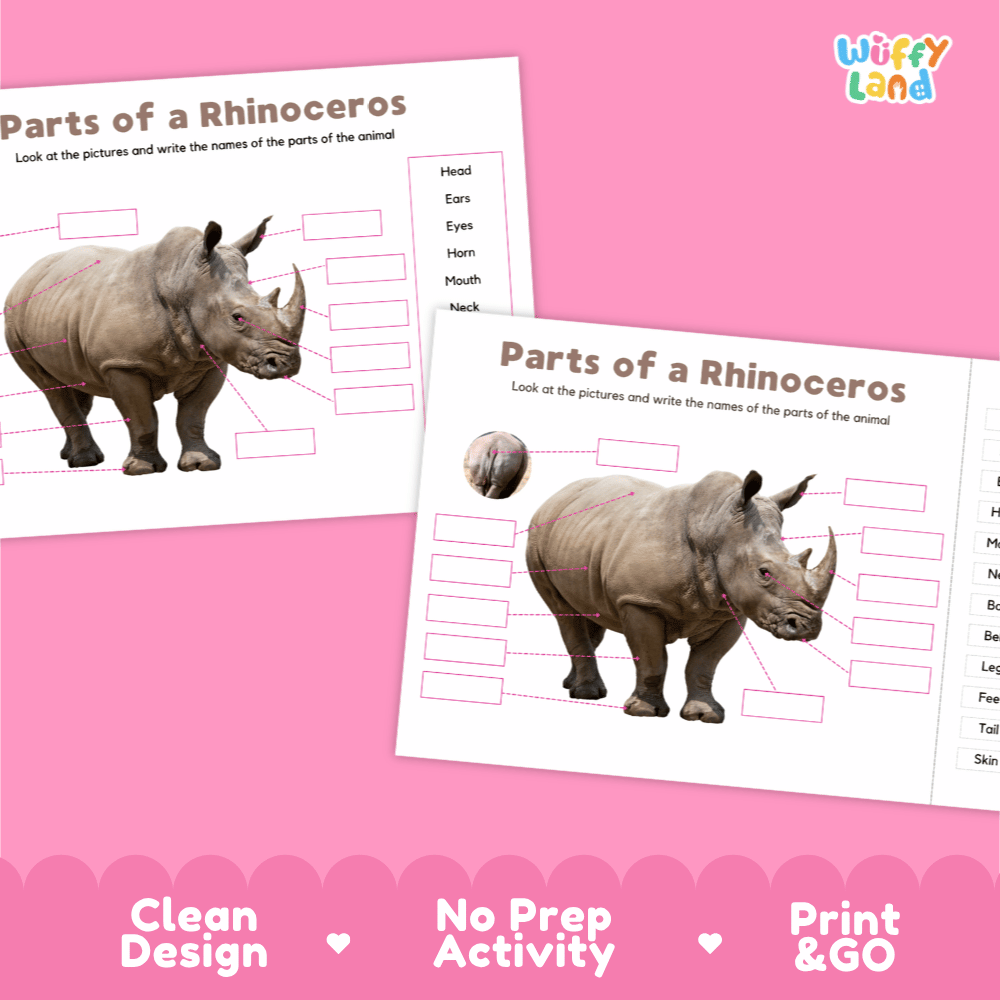 Clean science reference poster displaying a labeled realistic rhinoceros showing external body parts from horn to tail.