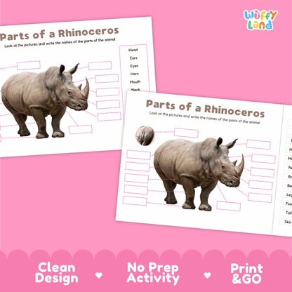 Clean science reference poster displaying a labeled realistic rhinoceros showing external body parts from horn to tail.