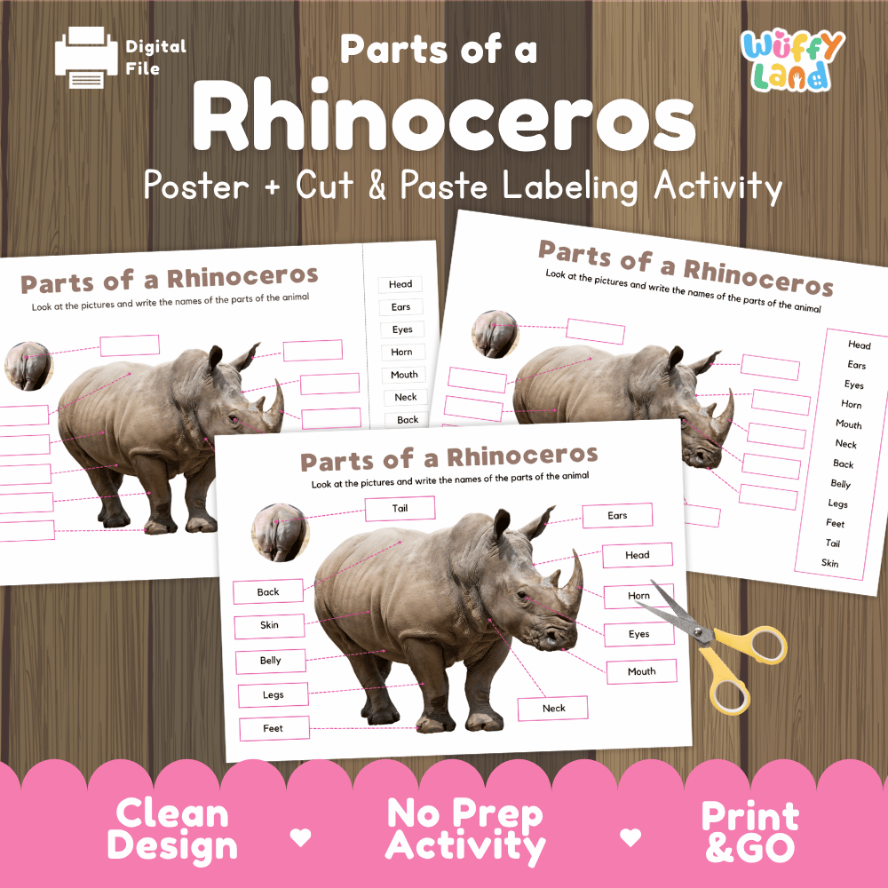 Parts of a Rhinoceros poster and cut and paste labeling activity printable pack showing labeled reference chart and differentiated worksheets for elementary science.
