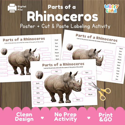 Parts of a Rhinoceros poster and cut and paste labeling activity printable pack showing labeled reference chart and differentiated worksheets for elementary science.