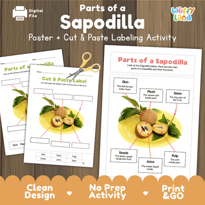Parts of a Sapodilla anatomy poster and cut and paste labeling activity worksheet pack preview for elementary science