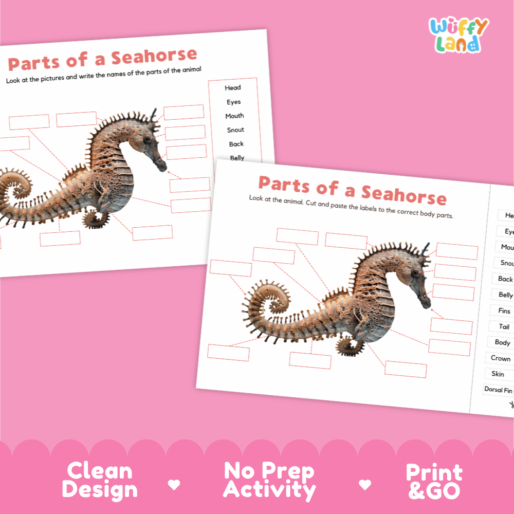 Clean science reference poster displaying a labeled realistic seahorse showing external body parts from crown to curled tail