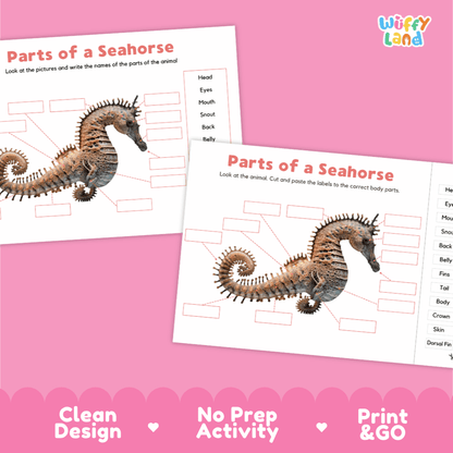 Clean science reference poster displaying a labeled realistic seahorse showing external body parts from crown to curled tail