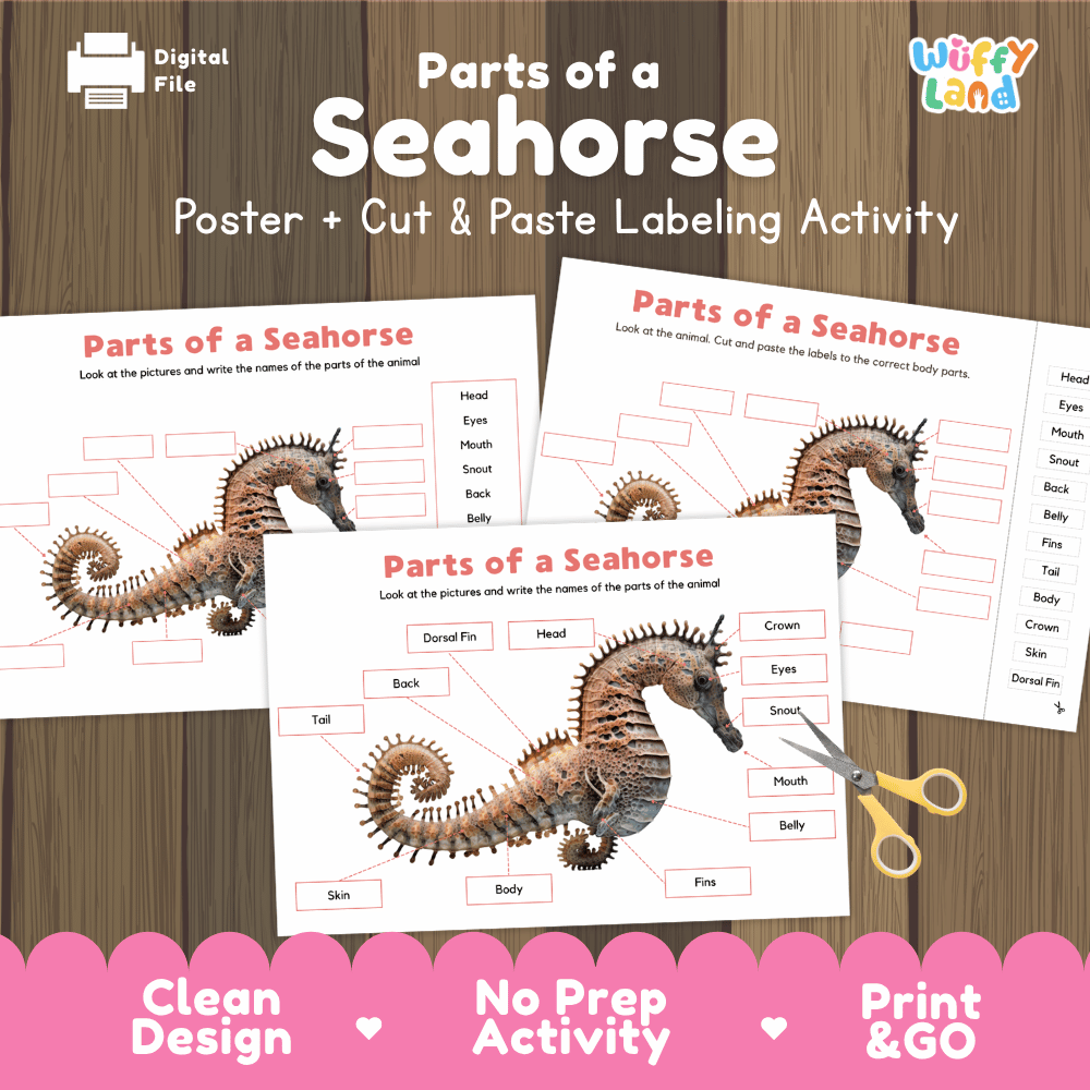 Parts of a Seahorse poster and cut and paste labeling activity printable pack showing labeled reference chart and differentiated worksheets for elementary science