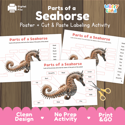 Parts of a Seahorse poster and cut and paste labeling activity printable pack showing labeled reference chart and differentiated worksheets for elementary science