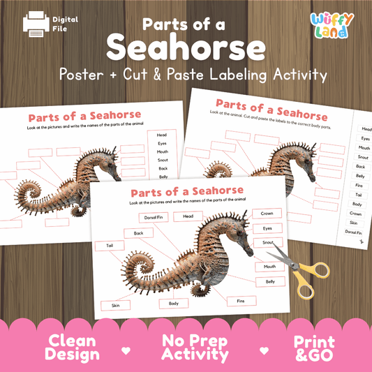 Parts of a Seahorse poster and cut and paste labeling activity printable pack showing labeled reference chart and differentiated worksheets for elementary science