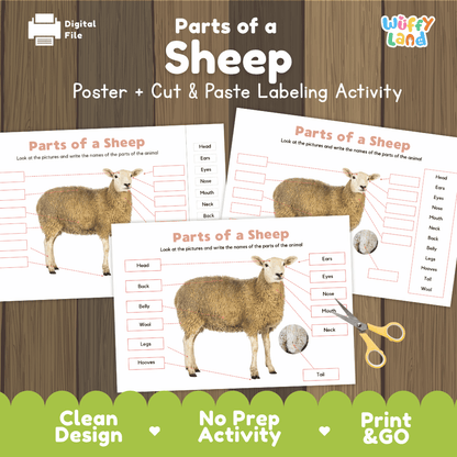 Parts of a Sheep anatomy poster and cut and paste labeling activity worksheet pack preview for elementary science