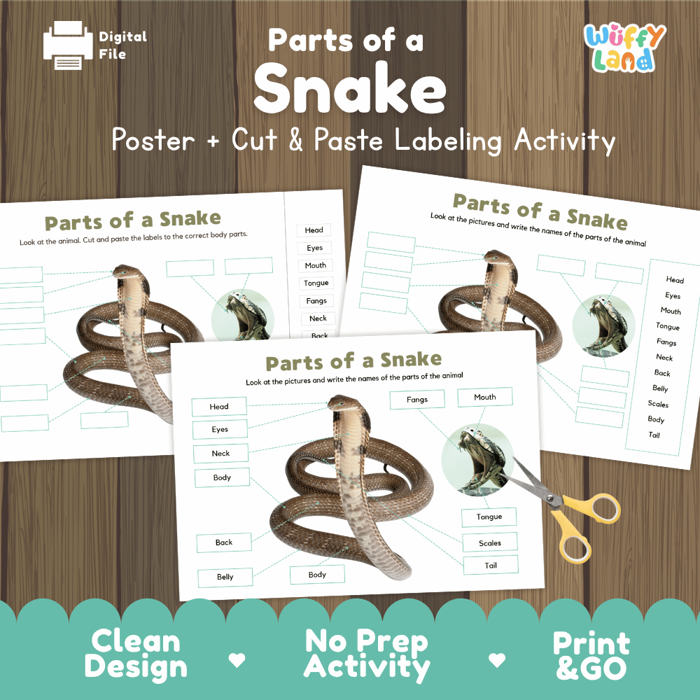 Parts of a Snake anatomy poster and cut and paste labeling activity worksheet pack preview for elementary science