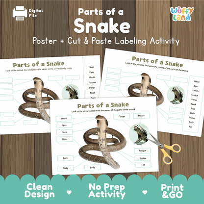 Parts of a Snake anatomy poster and cut and paste labeling activity worksheet pack preview for elementary science