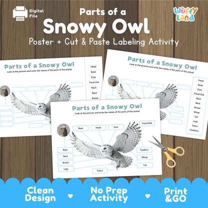 Parts of a Snowy Owl anatomy poster and cut and paste labeling activity worksheet pack preview for elementary science