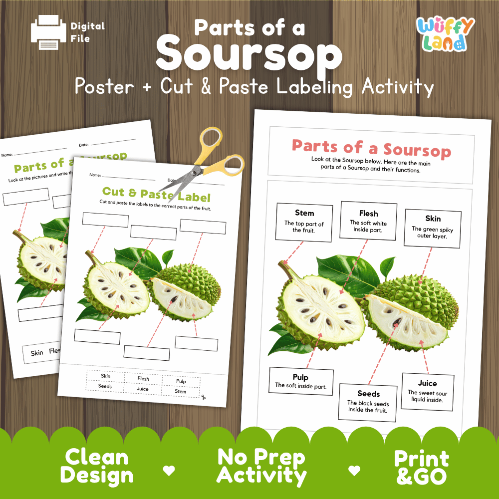 Parts of a Soursop anatomy poster and cut and paste labeling activity worksheet pack preview for elementary science